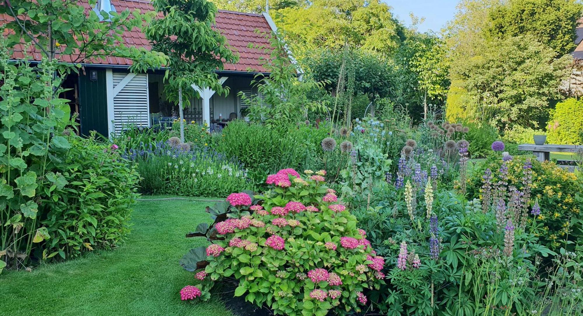 B&B Slapen Bij De Burgemeester Sint Pancras ภายนอก รูปภาพ